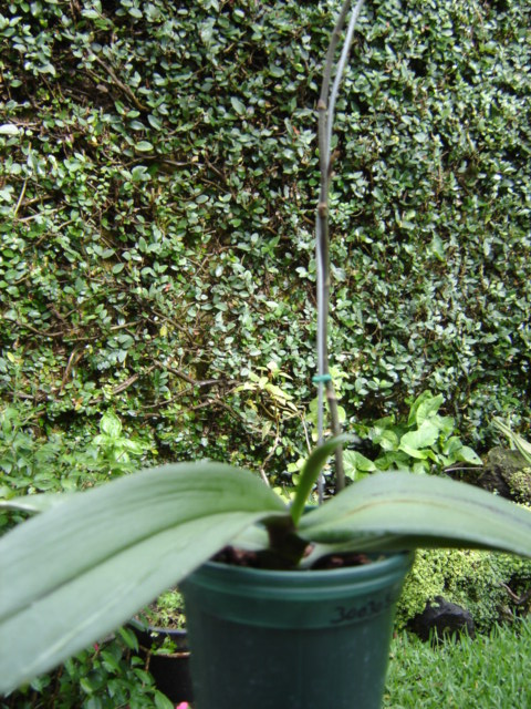 DSC01396.JPG
