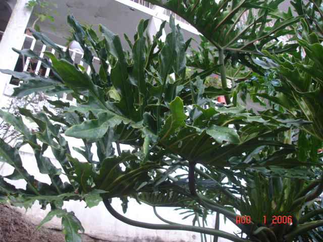 DSC01398.JPG