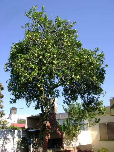 DSC01407.jpg