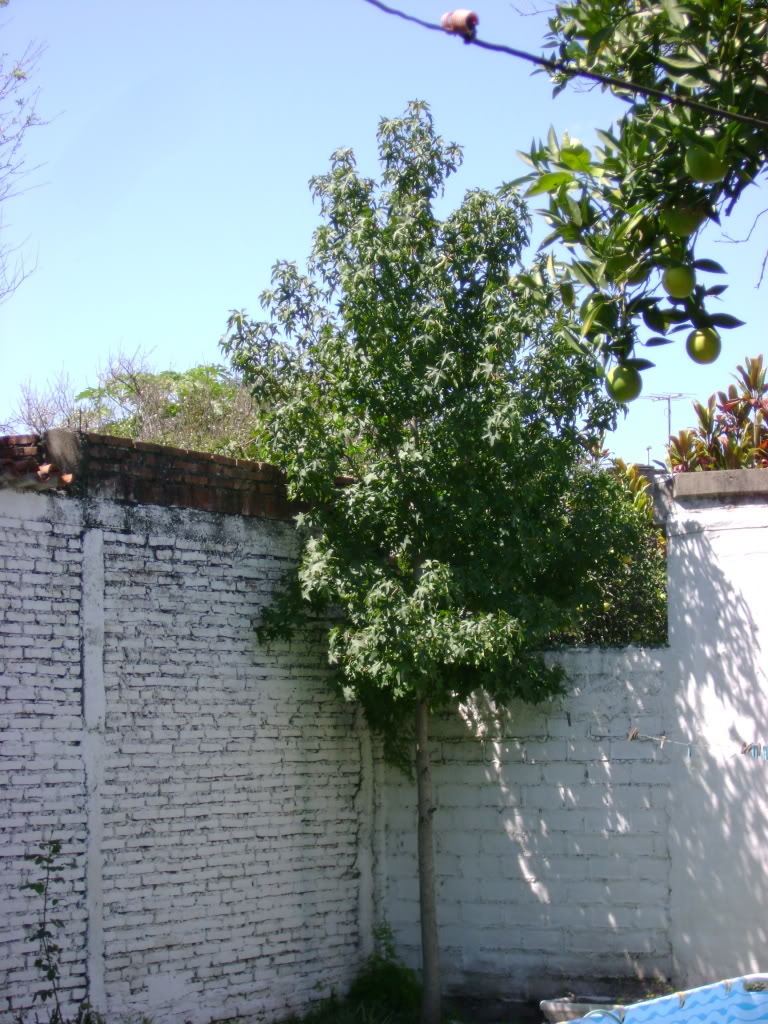 DSC01409.jpg