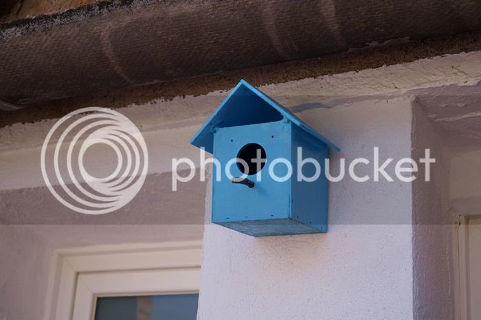 DSC01413_zpsc6a6ae03.jpg