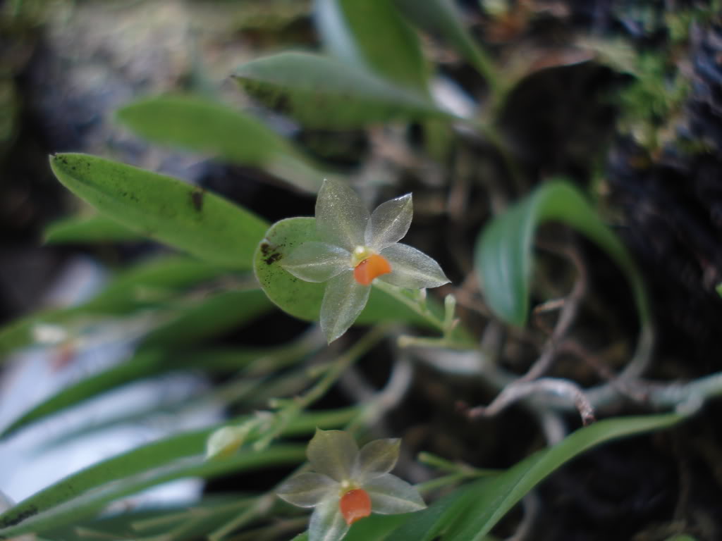 DSC01415.jpg