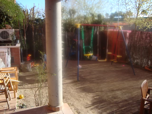 DSC01427.jpg