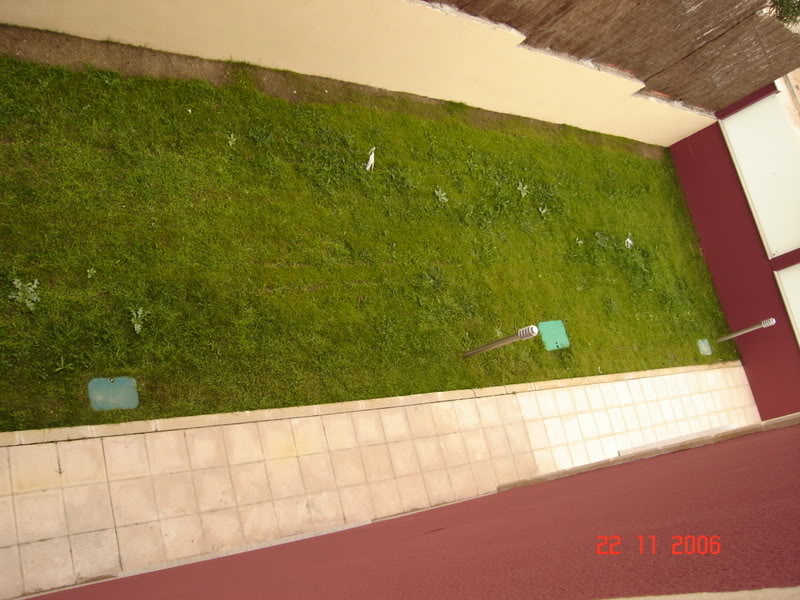 DSC01430.jpg