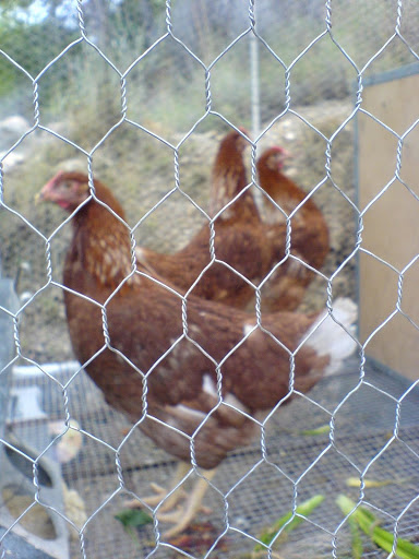 DSC01443.JPG