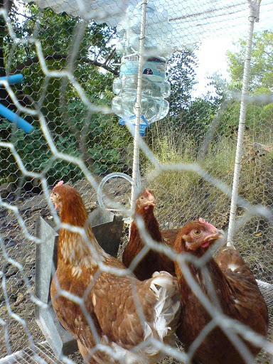 DSC01444.JPG