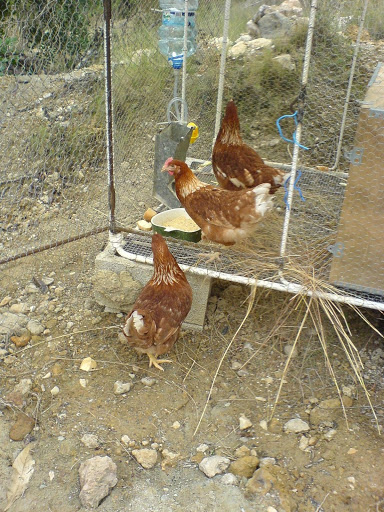 DSC01449.JPG