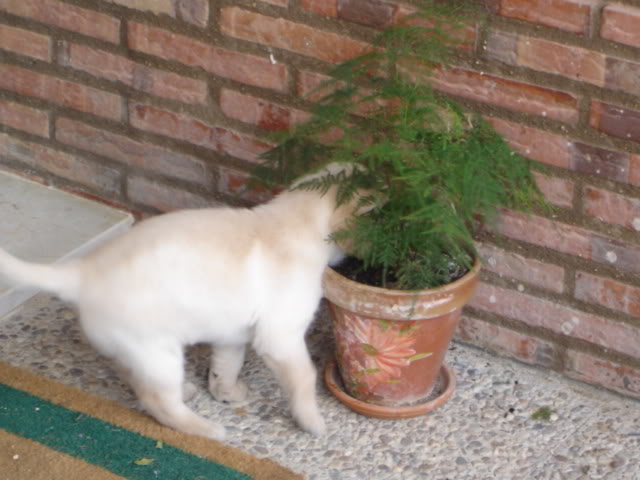 DSC01451.jpg