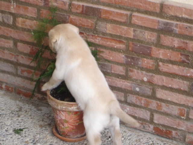DSC01452.jpg