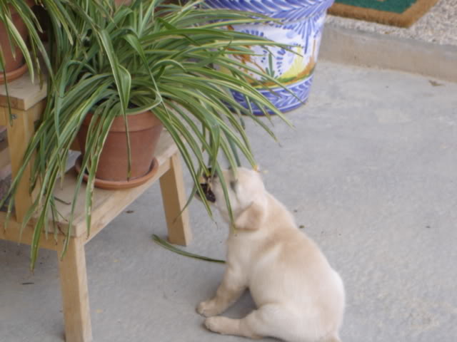 DSC01455.jpg
