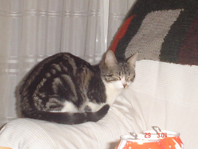 Dsc01459.jpg