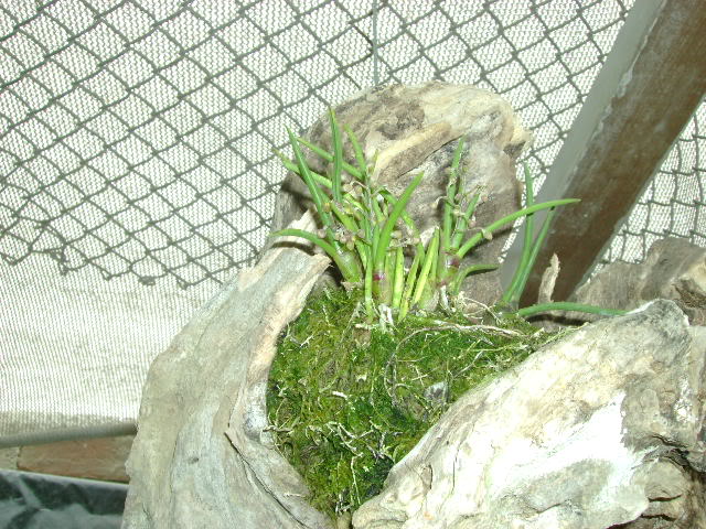 DSC01466.jpg