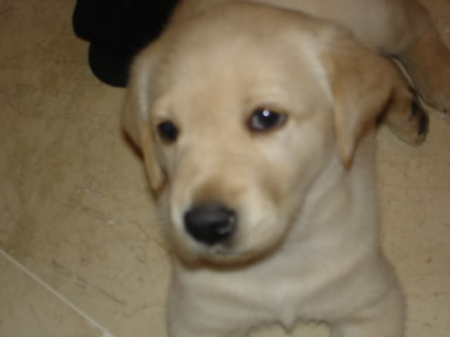 DSC01467.jpg
