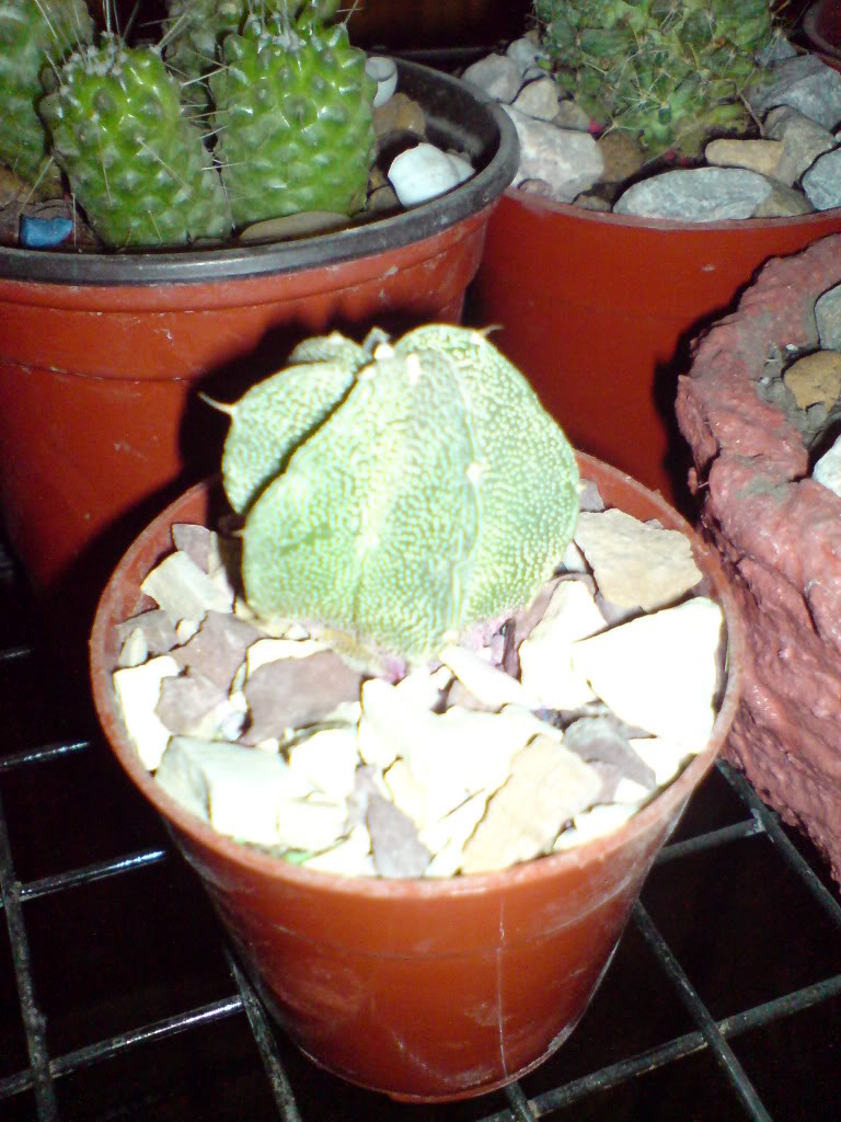 DSC01476.jpg