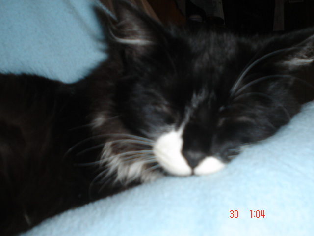 Dsc01476.jpg