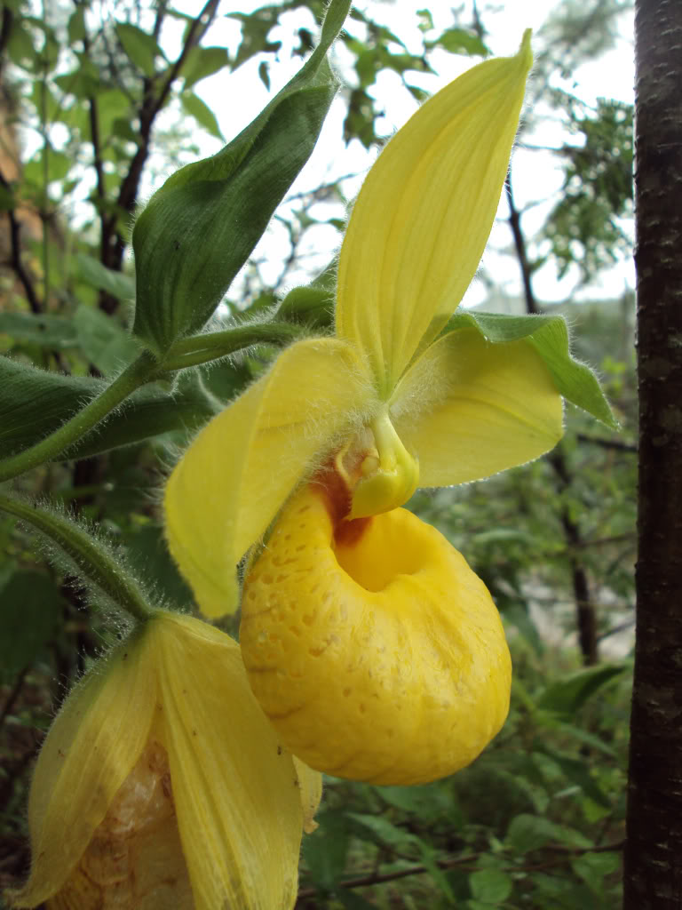 DSC01489.jpg
