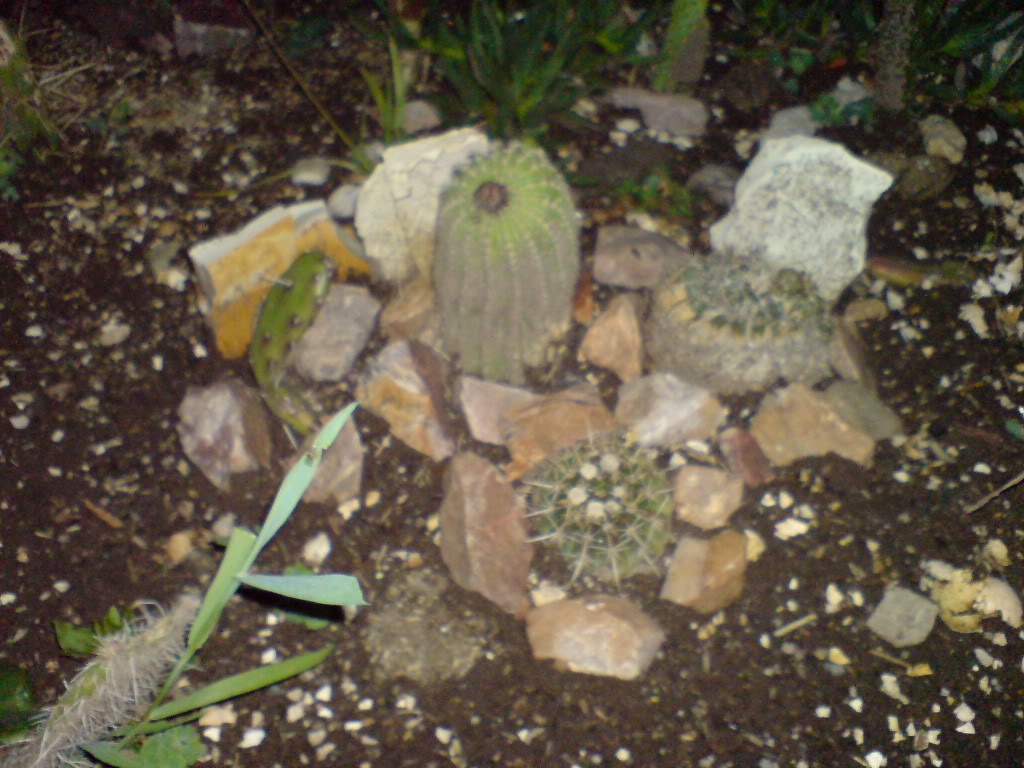 DSC01491.jpg