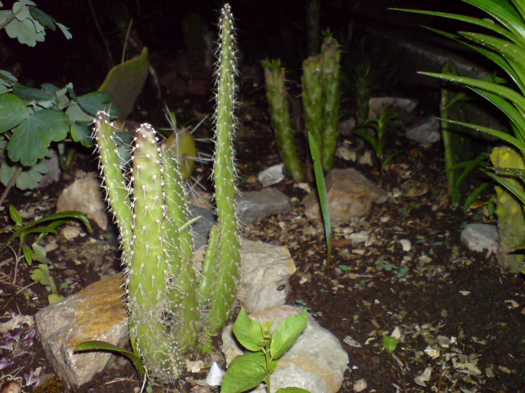 DSC01495.jpg