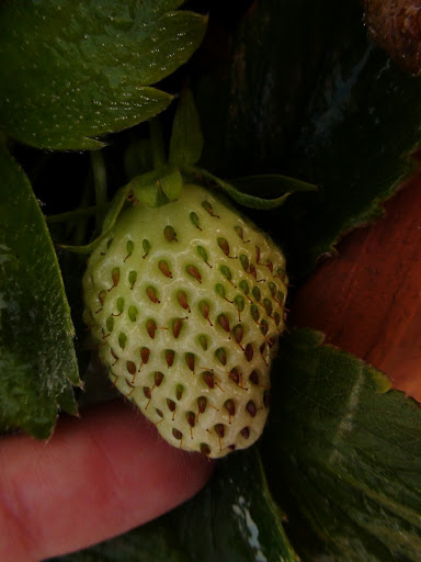 DSC01500.JPG