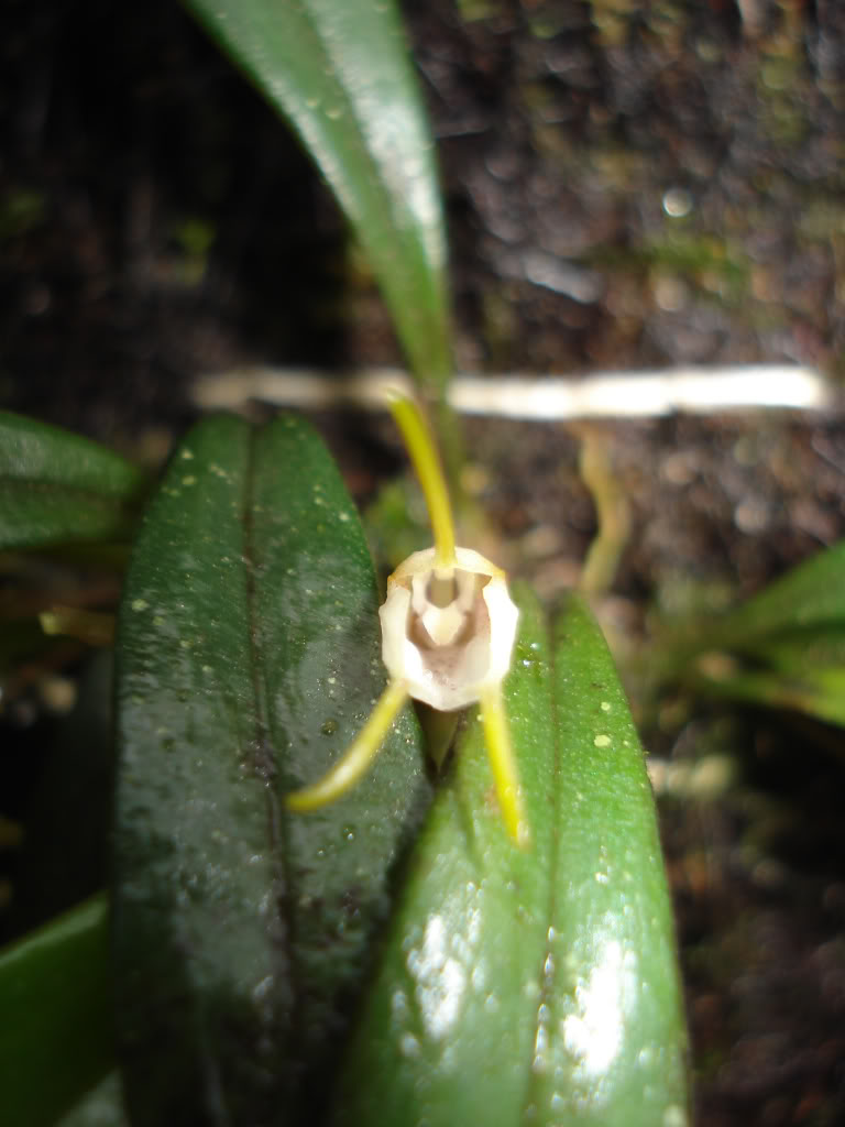 DSC01507.jpg