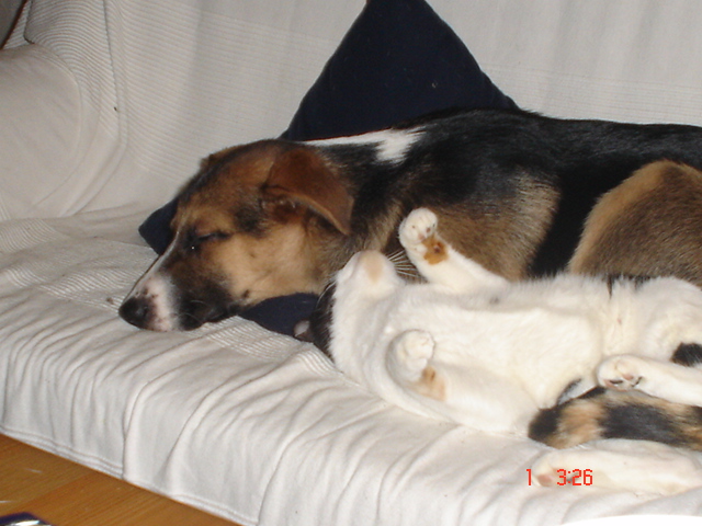 Dsc01525.jpg