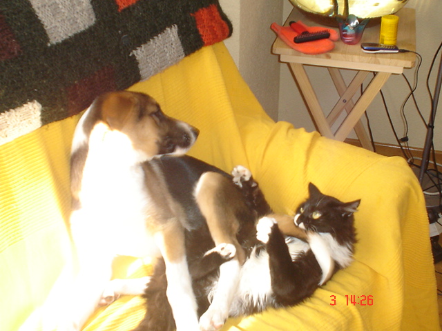 Dsc01529.jpg