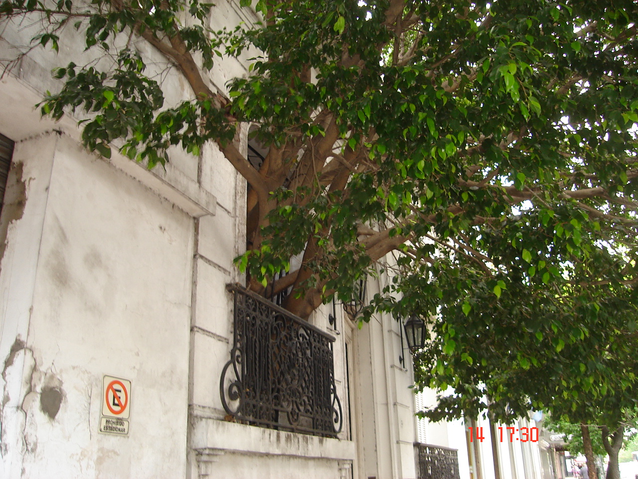 DSC01534.JPG
