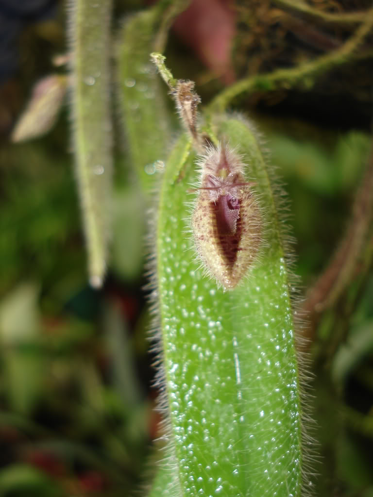 DSC01545.jpg