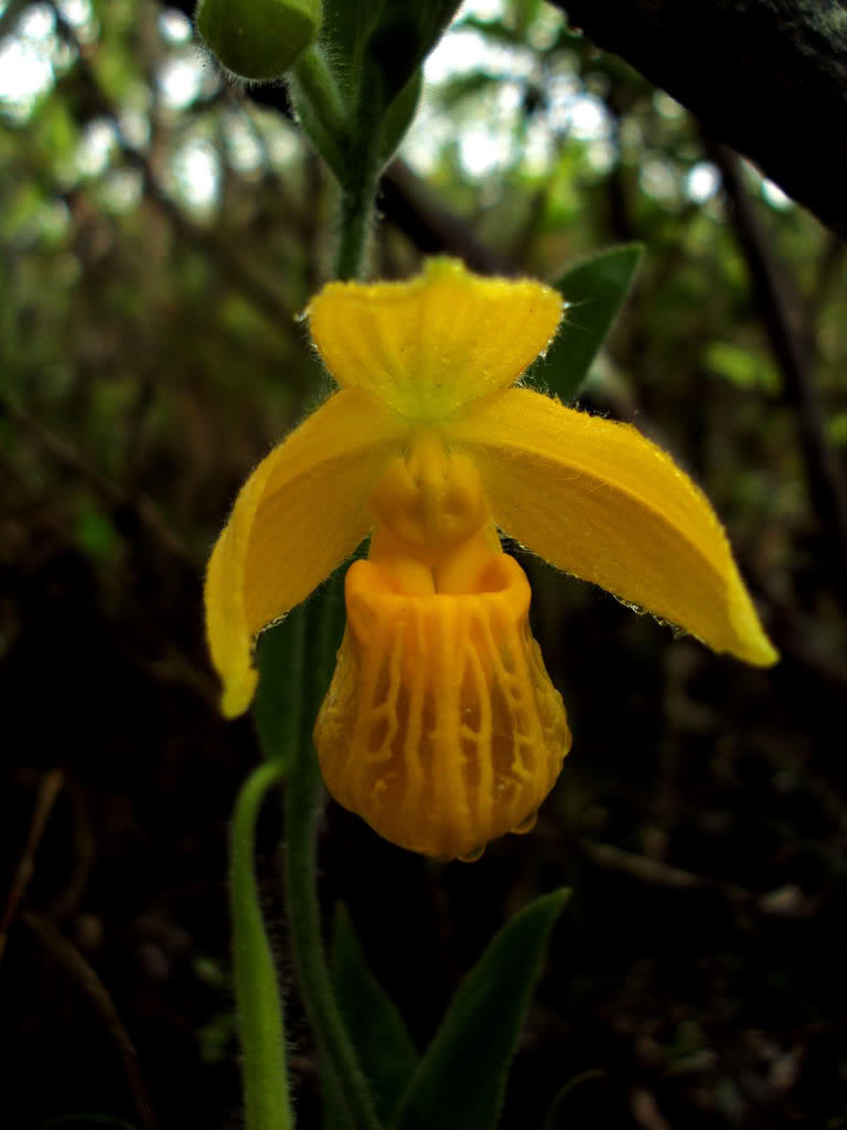 DSC01554-1.jpg