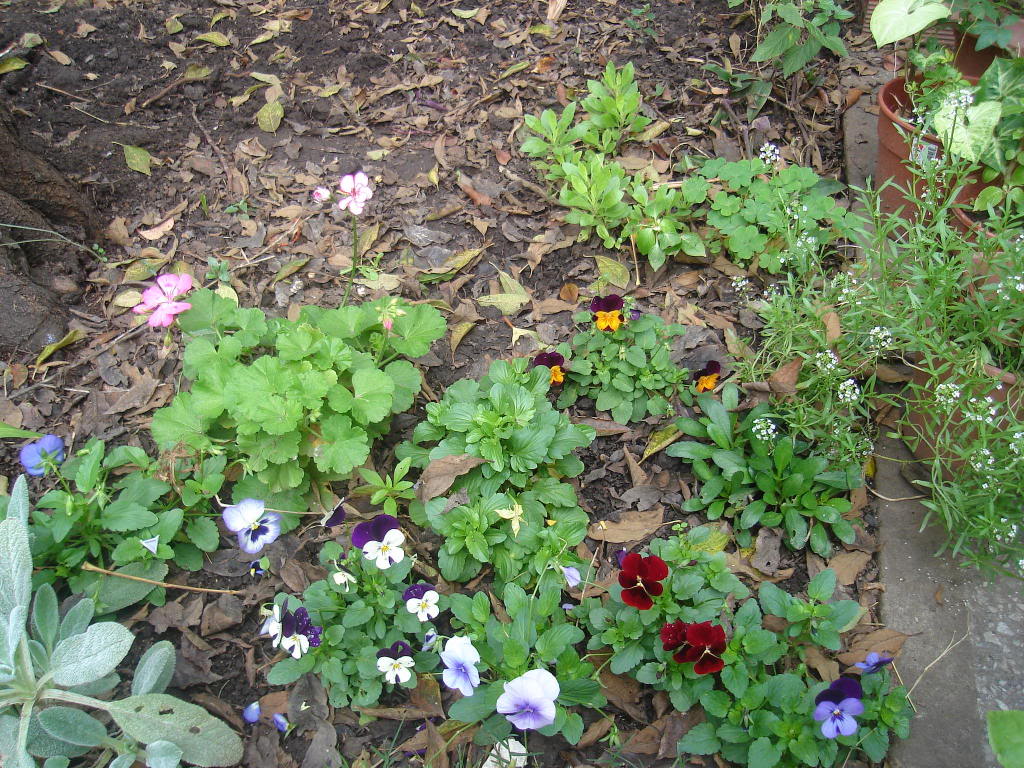 DSC01555.jpg