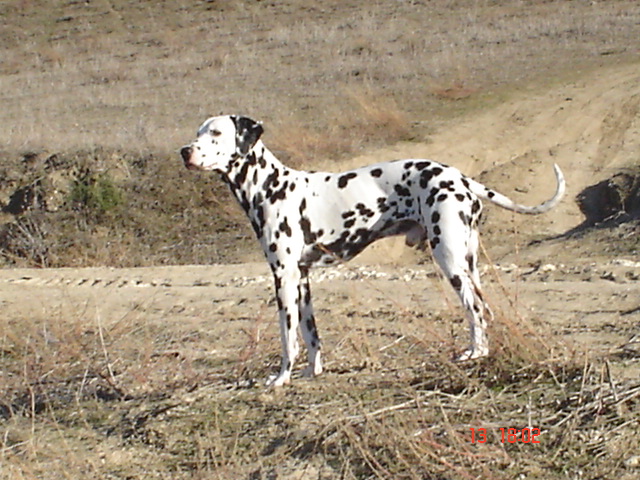 Dsc01555.jpg