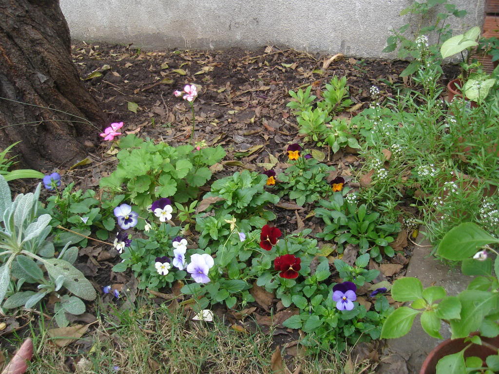 DSC01563.jpg