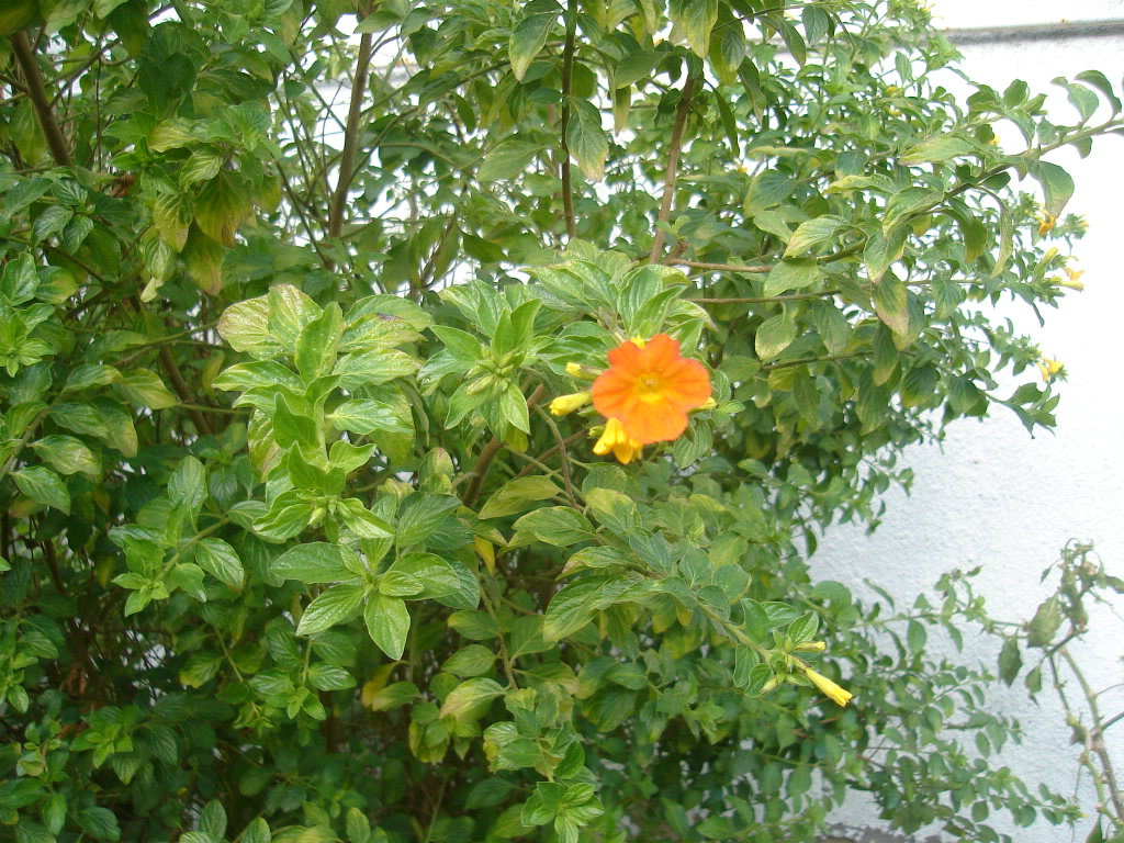 DSC01566.jpg
