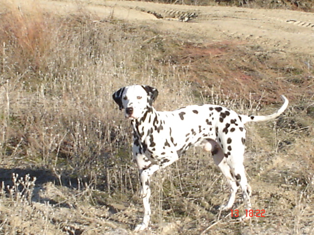 Dsc01568%7E0.jpg