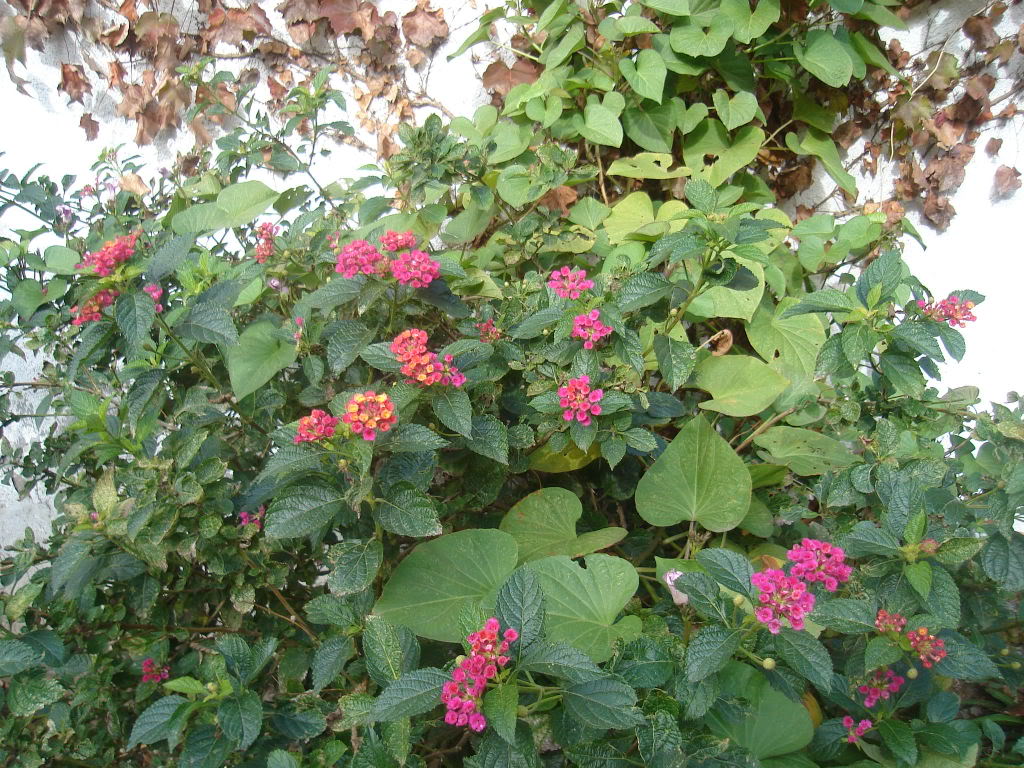 DSC01569.jpg
