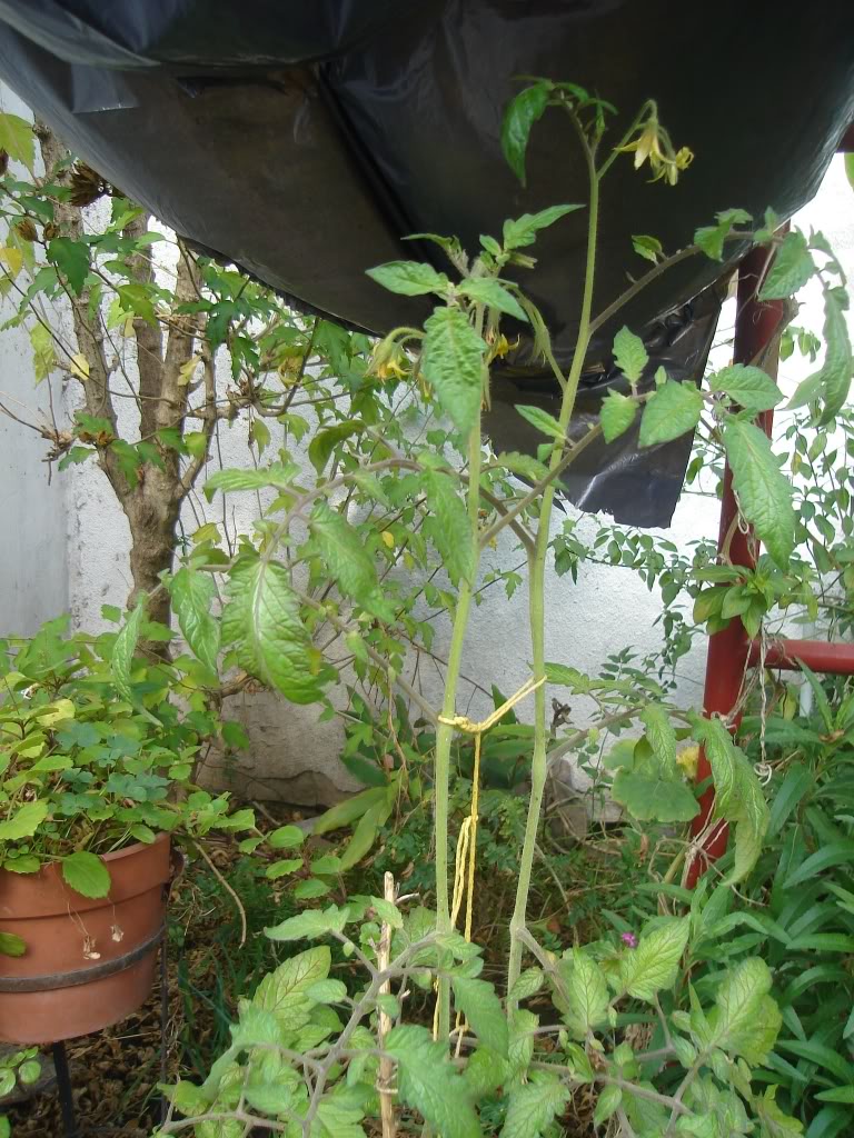 DSC01578.jpg