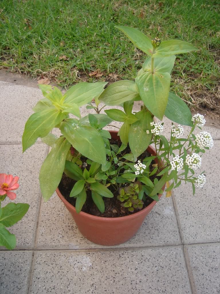 DSC01592.jpg