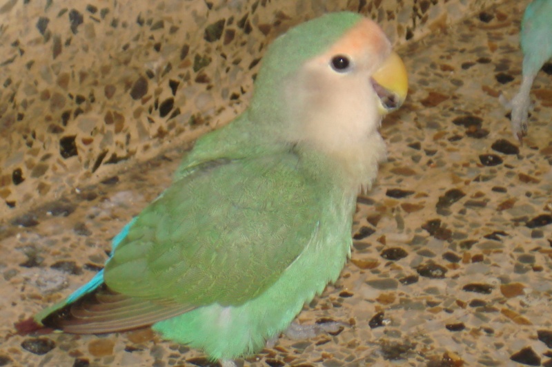 dsc01610.jpg