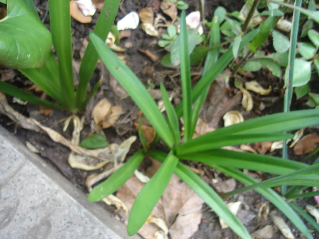 DSC01614.jpg