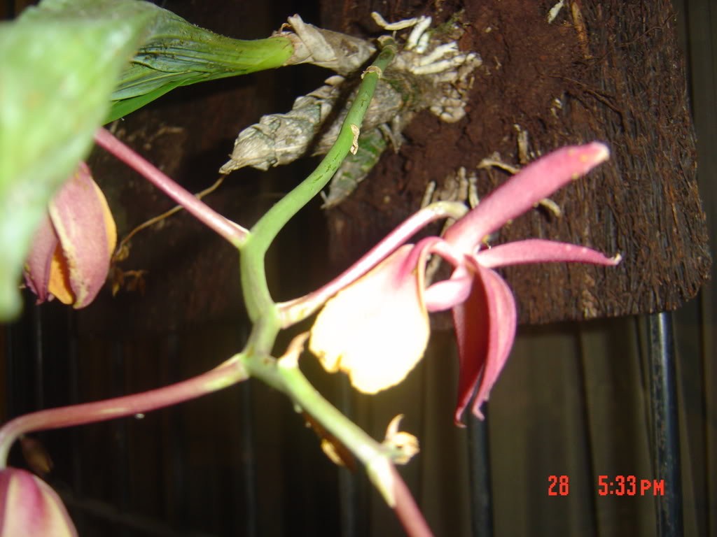 DSC01624.jpg
