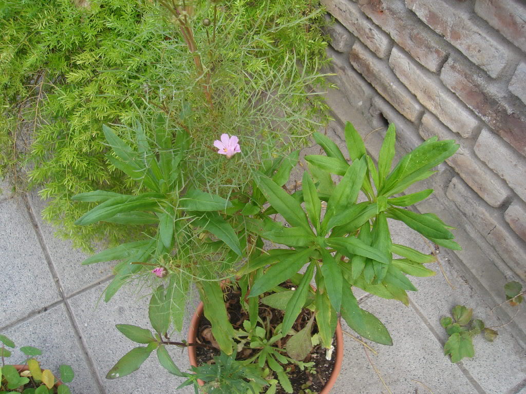 DSC01626.jpg