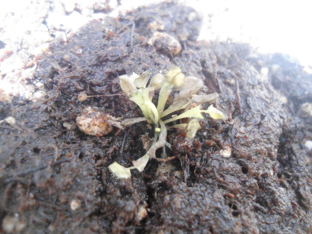 DSC01638.jpg