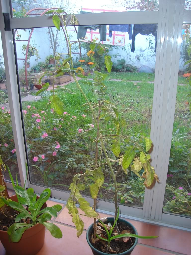 DSC01642.jpg