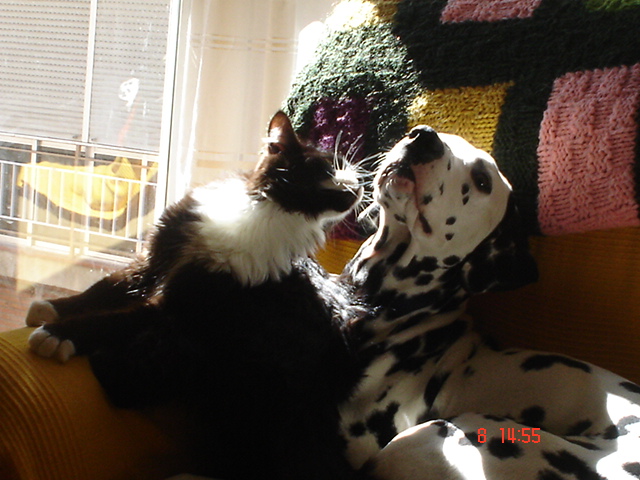 Dsc01642.jpg