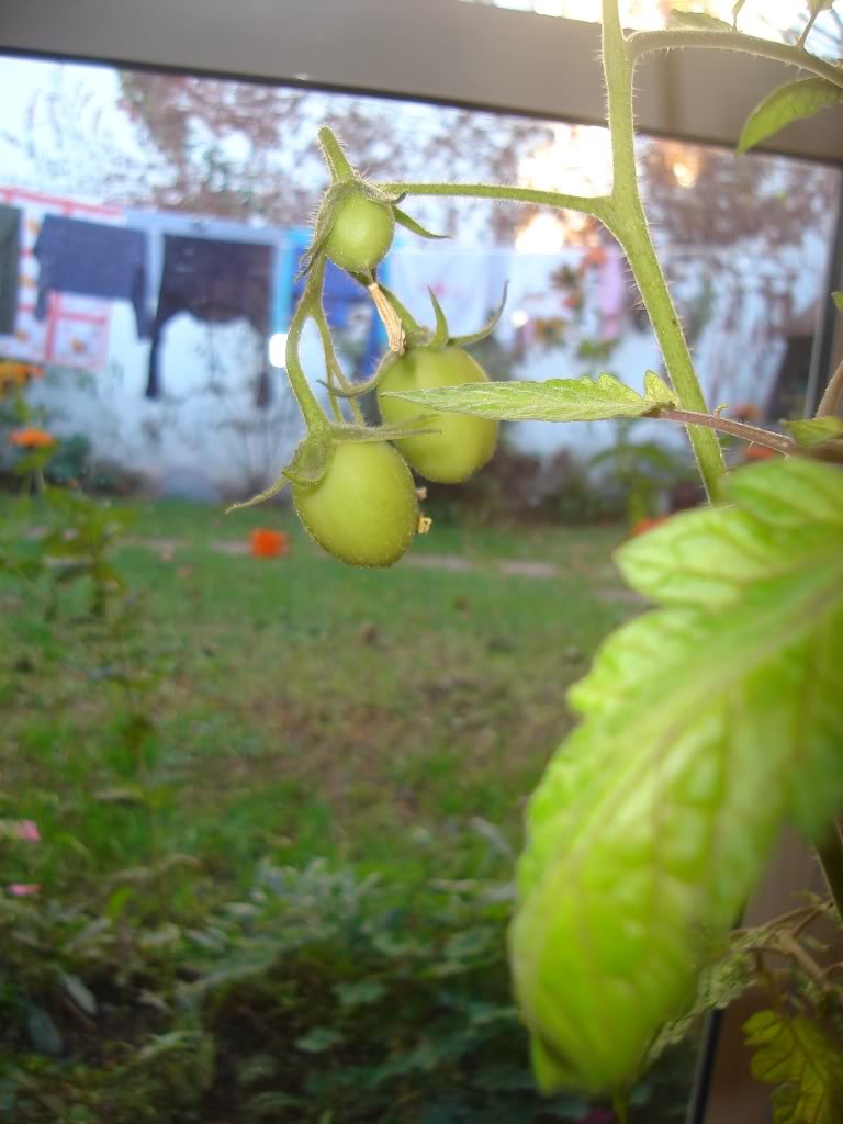 DSC01643.jpg