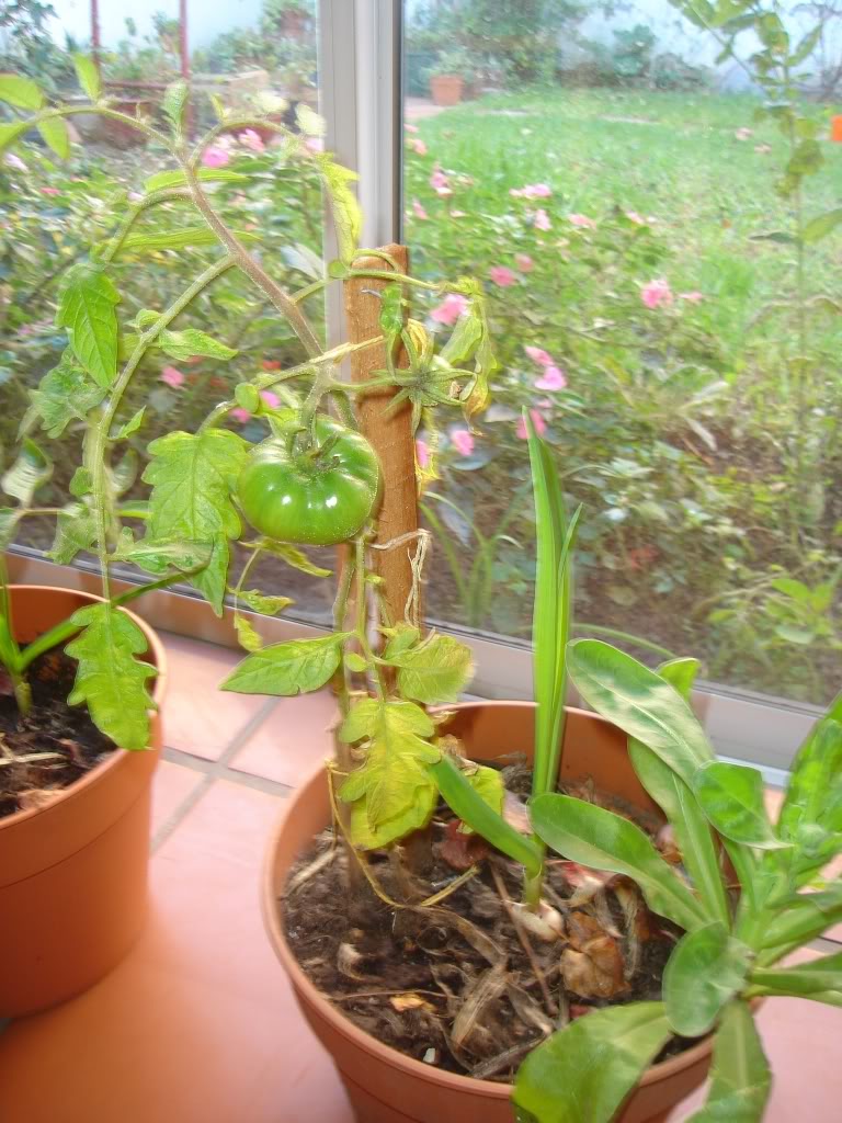 DSC01644.jpg