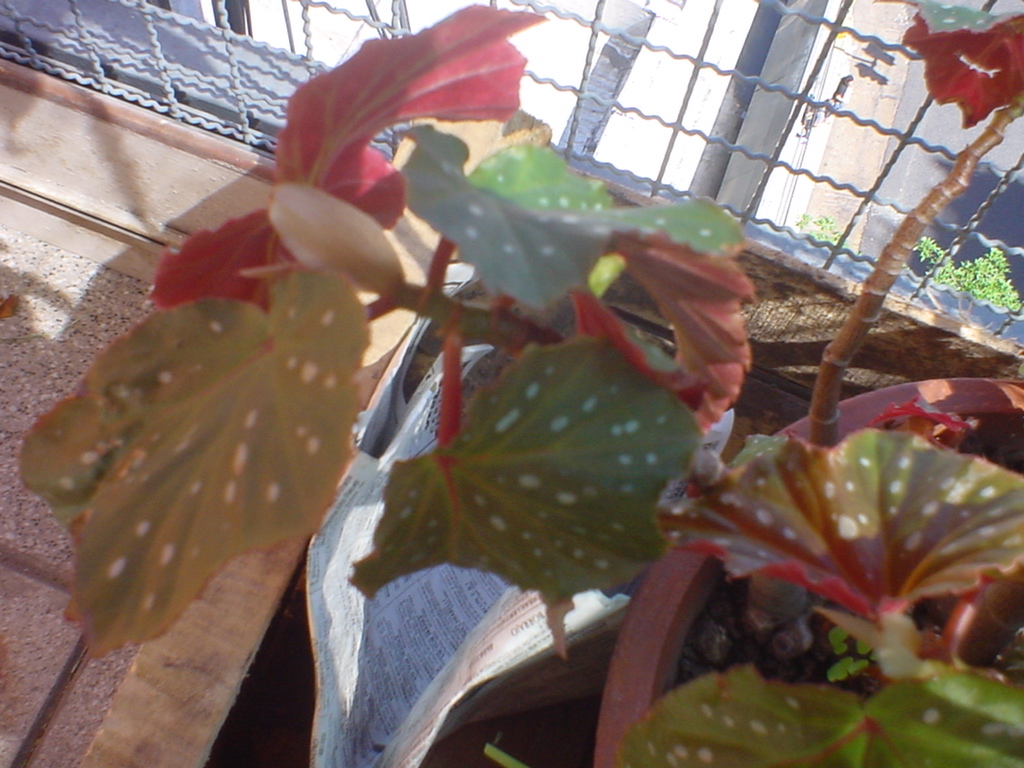 DSC01646~0.JPG