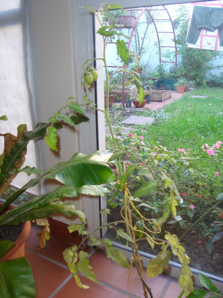 DSC01647.jpg