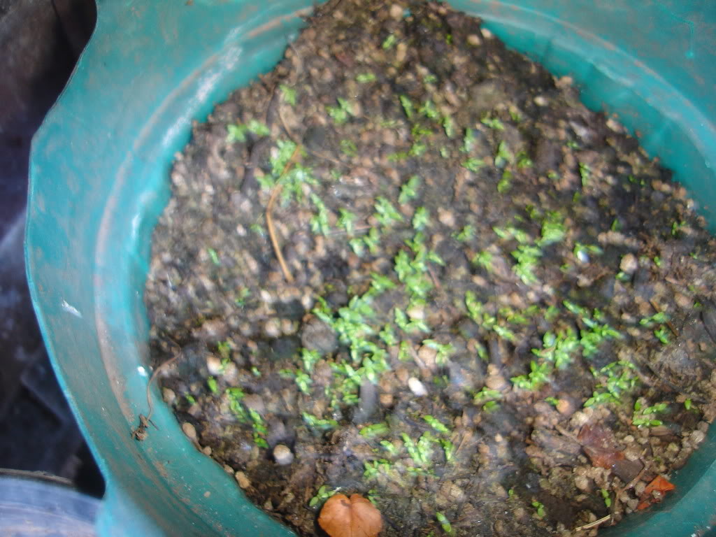 DSC01649.jpg