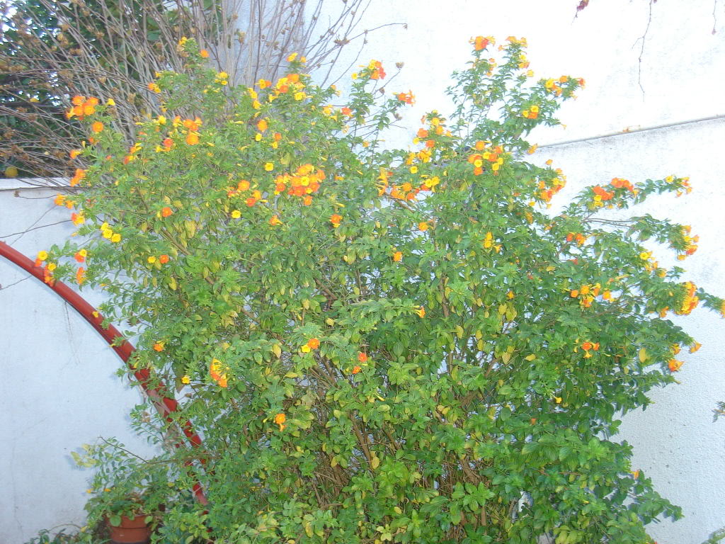 DSC01650.jpg